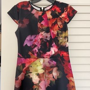 Ted Baker London Embla Floral Fit & Flare dress.